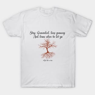 Stay grounded, keep hrowing know when to let go T-Shirt